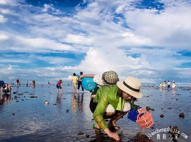 青岛去哪里赶海最好玩青岛最好的赶海地点推荐