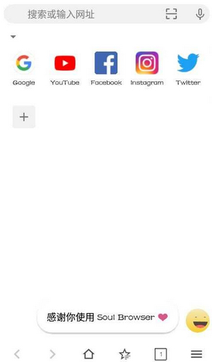 Soul Browser浏览器 1.2.17 运行截图1