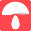 蘑菇推app下载_蘑菇推安卓版下载v2.1.3