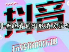 抖音能看到谁取消关注吗