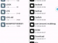 纳迪亚之宝手机版存档在哪 安卓版存档位置一览
