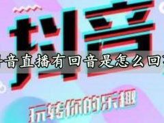 抖音直播有回音是怎么回事