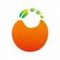橙子网购助手app下载_橙子网购助手最新版下载v4.1.0 安卓版