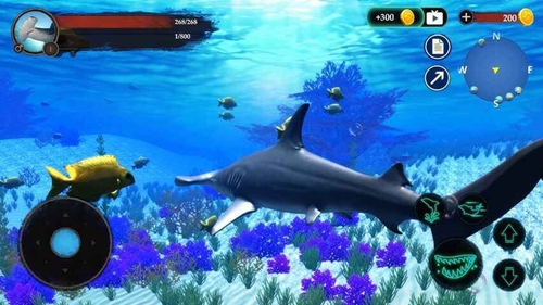 锤头鲨模拟器3d破解版无限金币