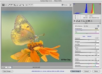 Adobe Camera Raw下载_Adobe Camera Rawphotoshop必备的增效工具最新版v1 运行截图3