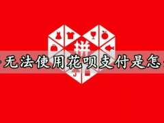 拼多多无法使用花呗支付是怎么回事