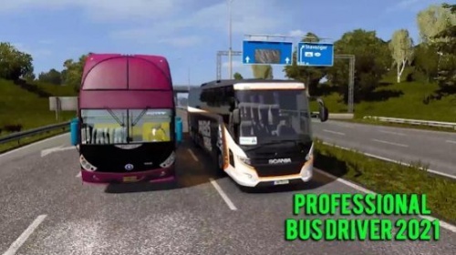 专业巴士司机2021游戏下载-专业巴士司机2021官方安卓版下载v1.0 运行截图1