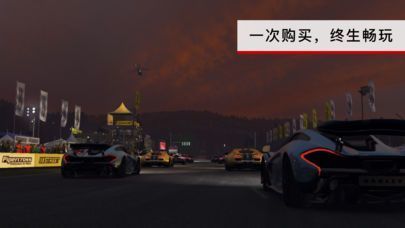 GRIDAutosport汉化版下载_GRIDAutosport最新版官网_萝卜游原创 运行截图3