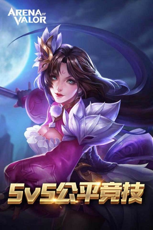 arenaofvalor先行服下载-arenaofvalor先行服官方安装包下载v1.5.2 运行截图2