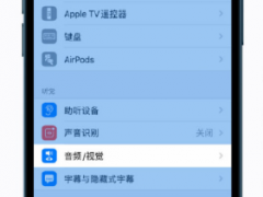 iPhone12怎么调整音频和视觉 一键设置调整手机音频和视觉方法分享