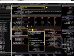 流放之路3.14版本S15赛季元素使coc流派打法详解[多图]