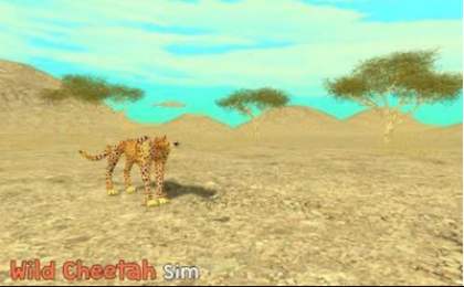 野生猎豹模拟3D安卓最新版下载-野生猎豹模拟3D游戏官方版下载v100.0