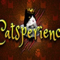 猫的经验游戏下载-猫的经验Catsperience下载