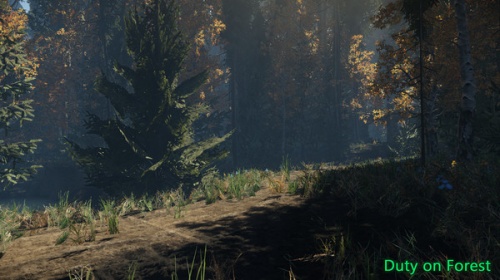 森林使命游戏下载-森林使命Duty on Forest下载 运行截图2