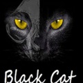 黑猫最新版-黑猫游戏下载