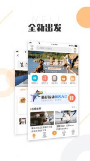 K9犬网app下载_K9犬网最新版下载v2.8.0 安卓版 运行截图3