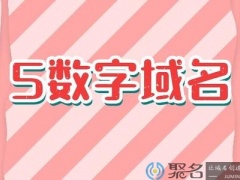 5数字域名也能卖高价!聊聊5数域名的魅力