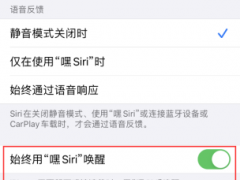 iPhone屏幕被挡无法唤醒Siri怎么办 轻松解决无法唤醒Siri问题方法