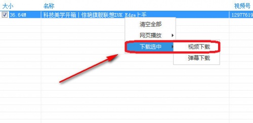 BilibiliVideoDownload下载_BilibiliVideoDownload免费绿色纯净最新版v3.5 运行截图2