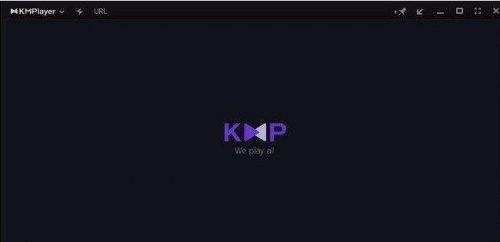 KMPlayer中文版下载_KMPlayer中文版播放器最新最新版v4.2.2.47 运行截图3