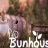 兔子温室-兔子温室Bunhouse-兔子温室中文版预约