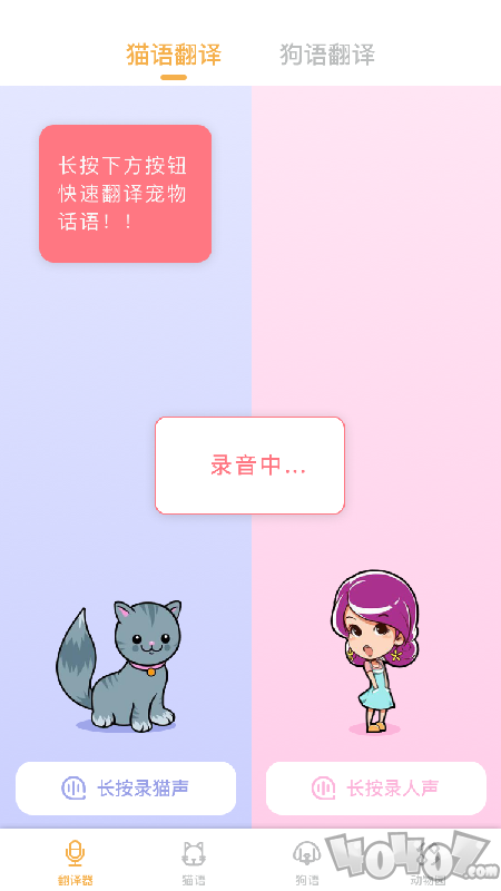 猫语翻译大师