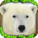 终极北极熊模拟器无限经验版下载-终极北极熊模拟器满级破解下载