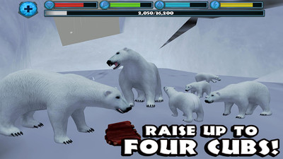 终极北极熊模拟器无限经验版下载-终极北极熊模拟器满级破解版下载