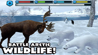 终极北极熊模拟器无限经验版下载-终极北极熊模拟器满级破解版下载