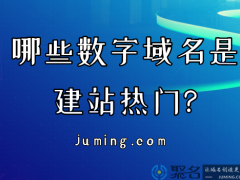 哪些数字域名是建站热门?