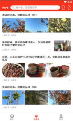 Hey喵app下载_Hey喵最新版下载v0.2.0 安卓版 运行截图2