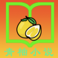 青柚小说阅读器下载_青柚小说app最新版下载v1.0 安卓版
