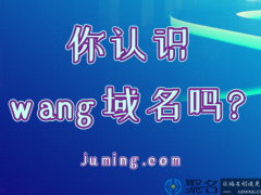 你认识wang域名吗?从wang域名使用情况分析投资价值