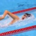 女子游泳赛游戏官方版下载-女子游泳赛游戏安安卓版下载