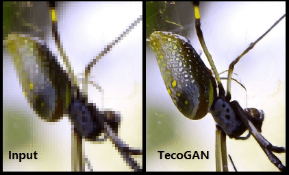 TecoGAN下载_TecoGAN2021去码最新版v1.0 运行截图2