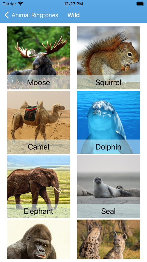 有趣的动物铃声app下载_有趣的动物铃声手机版下载v1.0 安卓版 运行截图2