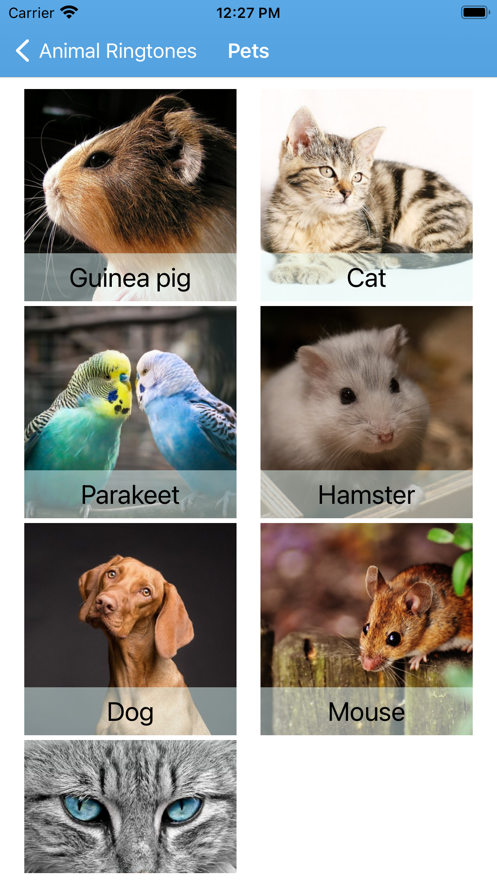 有趣的动物铃声app下载_有趣的动物铃声手机版下载v1.0 安卓版 运行截图3