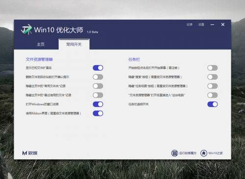 win10优化大师绿色版下载_win10优化大师绿色版纯净最新版v1.0.0.8 运行截图4