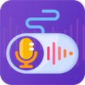 手游语聊变声器app下载_手游语聊变声器2021版下载v1.0.01 安卓版
