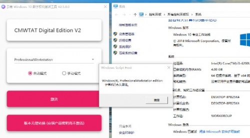 云萌win10激活工具下载_云萌win10激活工具绿色最新版v2.5.0.0 运行截图3