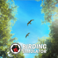 观鸟模拟器游戏官方版下载(暂未上线)-观鸟模拟器游戏安卓版下载
