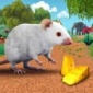 流浪老鼠模拟器游戏官方版下载-流浪老鼠模拟器游戏安卓版下载