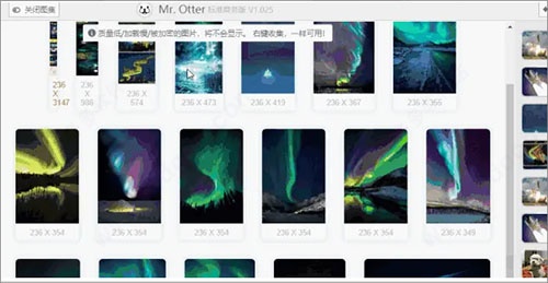 MrOtter setup下载_MrOtter setup(多站点搜索工具)免费最新版v5.9 运行截图1