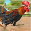 农场鸡焙烧炉竞速游戏官方版-农场鸡焙烧炉竞速游戏安卓版下载
