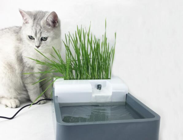 2021猫咪饮水机排行榜推荐 猫咪饮水机选哪个牌子最实惠