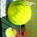 全王牌网球模拟器下载_全王牌网球模拟器中文版下载