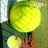 全王牌网球模拟器下载_全王牌网球模拟器中文版下载