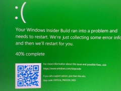 Windows 11首个蓝屏/绿屏曝光 界面对比Win10一点没变