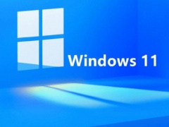 Win11怎么取消开机密码？Win11开机取消密码的方法