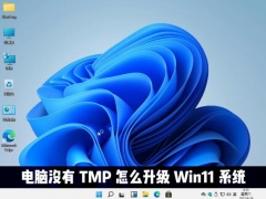 电脑没有TMP可以升级win11系统吗？Win11绕过TMP安装教程